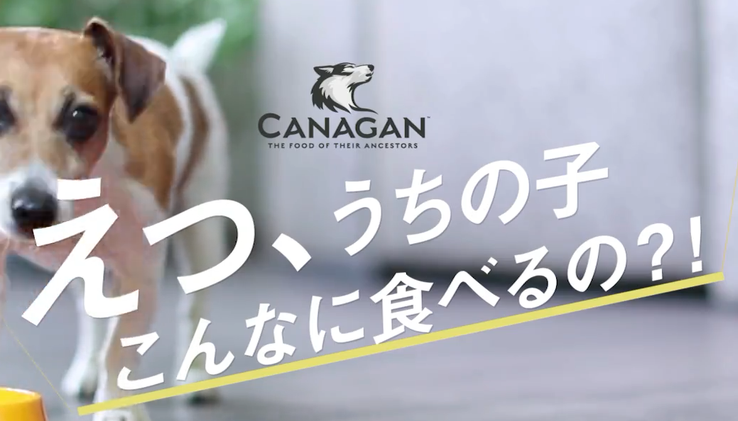 カナガン