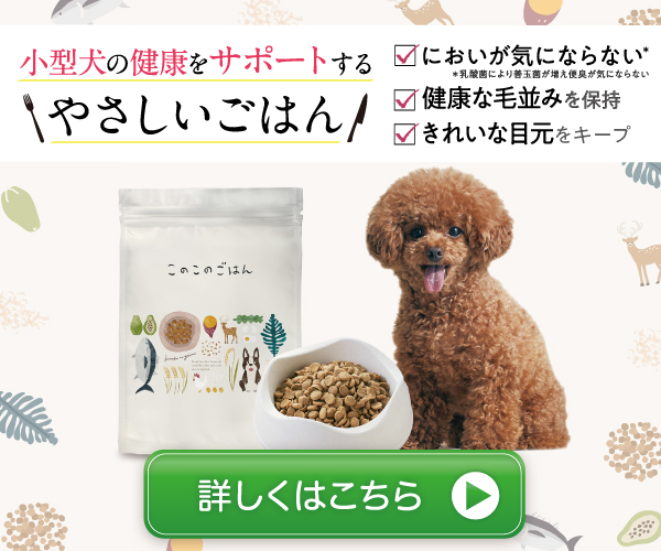 このこのごはん